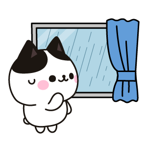窓から雨を見るネコ（ハチワレ）